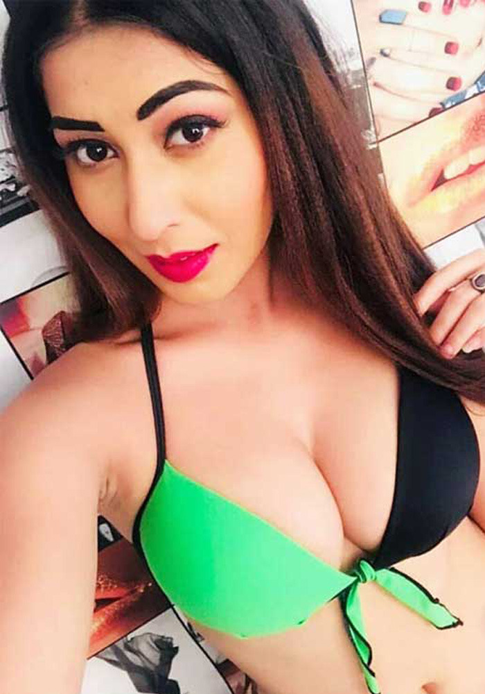 Bilaspur Call Girl Service